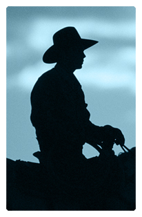 DF35T 360 BL Cowboy Blue